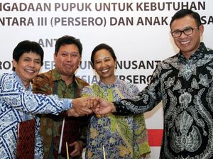 3 BUMN Bersinergi Dalam Pengadaan Pupuk