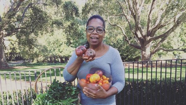 Hobi Berkebun, Lihat Aksi Oprah Panen Buah dan Sayur Segar di Halamannya!