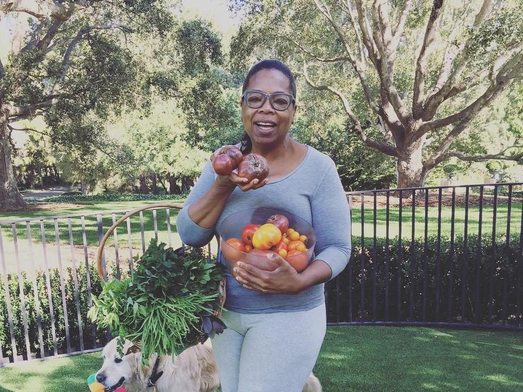 Hobi Berkebun, Lihat Aksi Oprah Panen Buah dan Sayur Segar di Halamannya!