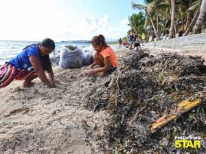 Bersih-bersih Boracay yang Disebut Duterte Penampungan Limbah Bersih-bersih Boracay yang Disebut Duterte Penampungan Limbah