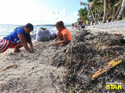 Bersih-bersih Boracay yang Disebut Duterte Penampungan Limbah