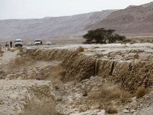 2 Remaja Tewas Akibat Banjir di Israel dan Palestina