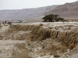 2 Remaja Tewas Akibat Banjir di Israel dan Palestina