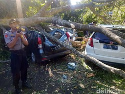 15 Mobil Kena Pohon Tumbang, Walikota Sukabumi: Semoga Diasuransikan