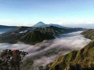 Terpopuler: Viral Wisman Perempuan Kena Pelecehan Seksual di Bromo Terpopuler: Viral Wisman Perempuan Kena Pelecehan Seksual di Bromo