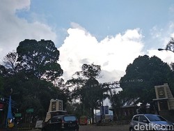 Alfia Fitri Sudah Memenuhi Seluruh Persyaratan untuk Ikut