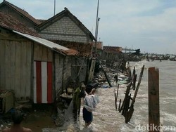 Abrasi Parah di Pesisir Rembang, Ini yang Bisa Dilakukan Warga