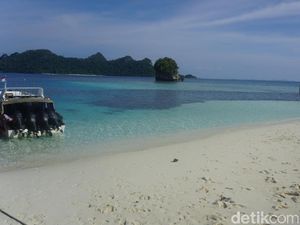 Tahu Nggak, Bisa Berenang Bersama Hiu di Raja Ampat Tahu Nggak, Bisa Berenang Bersama Hiu di Raja Ampat