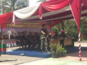 TNI akan Fokus Awasi Jalan Tikus di Perbatasan