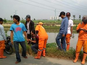 Lampu Penerangan di KBT Rorotan Mati, Ini Penyebabnya