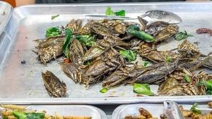 Jajan Jangkrik Goreng dan Seafood Takoyaki di Pasar Malam Rot Fai