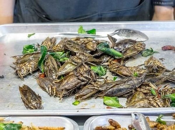 Jajan Jangkrik Goreng dan Seafood Takoyaki di Pasar Malam Rot Fai
