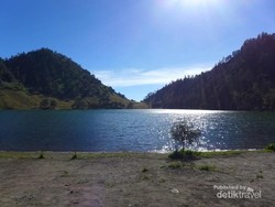 Menanjak ke Ranu Kumbolo, Primadona Semeru yang Rupawan