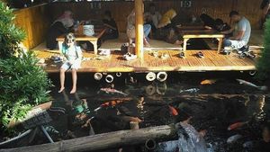 Liburan ke Malang, Asyiknya Makan Lesehan Sambil Main Ikan di Sini