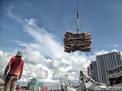 Begini Siasat BUMN Semen Hadapi Seretnya Pasokan Kantong dari Rusia