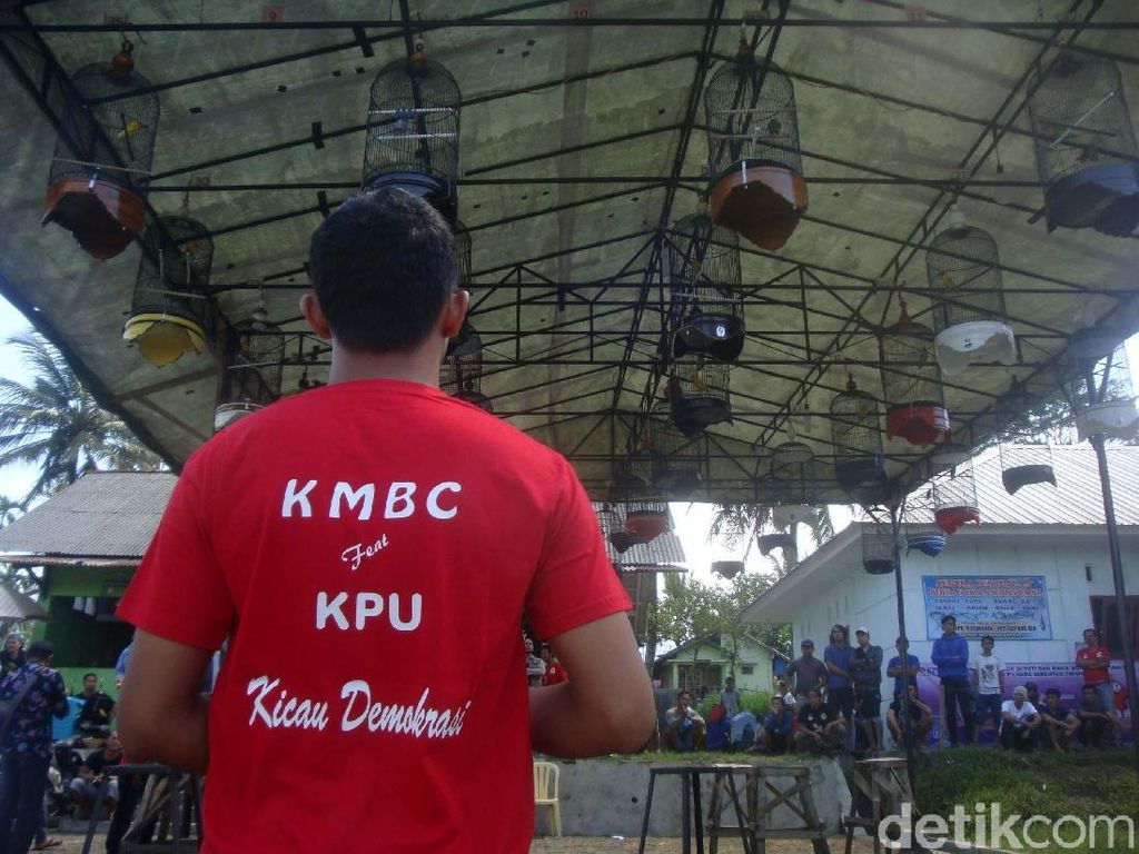 Komunitas Kicau Mania Deklarasi Anti-Golput di Pemilu 2019 Komunitas Kicau Mania Deklarasi Anti-Golput di Pemilu 2019
