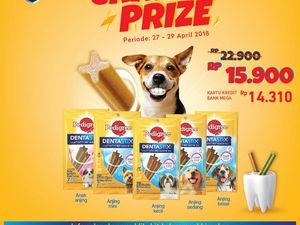Ragam Promo Makanan Hewan Peliharaan di Transmart Carrefour Ragam Promo Makanan Hewan Peliharaan di Transmart Carrefour