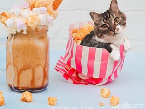 Meoong! Ada Kucing yang Menyelip dalam Es Krim hingga Waffle