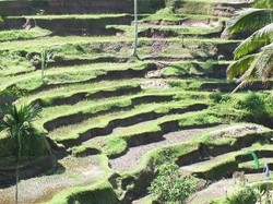 Apa Sumber Daya yang Menjadi Keunggulan Tiap Negara ASEAN? Simak Yuk!