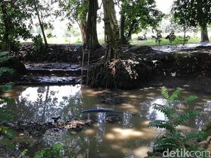 Bangunan Kuno Diduga Petirtaan Kerajaan Ditemukan di Tengah Sawah