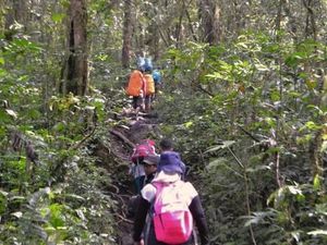 Menggapai Puncak Gunung Api Tertinggi di Asia Tenggara