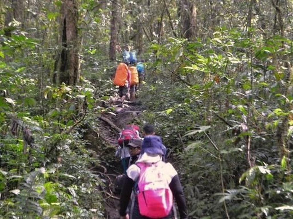 Menggapai Puncak Gunung Api Tertinggi di Asia Tenggara Menggapai Puncak Gunung Api Tertinggi di Asia Tenggara