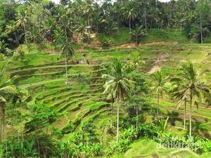 Buntut Jebakan Karantina: Wisata ke Bali, Kenapa Karantina di Jakarta? Buntut Jebakan Karantina: Wisata ke Bali, Kenapa Karantina di Jakarta?