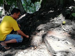 Bangunan Kuno di Tengah Sawah Ini Diduga Peninggalan Majapahit