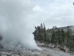 Iseng Masak Ayam di Kawah Panas, Pria Ini Dilarang Masuk Yellowstone