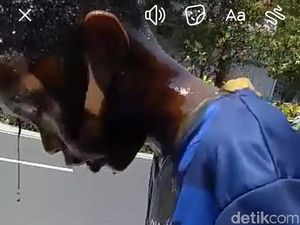 Ternyata Bocah yang Dihukum Mandi Oli Bekas Yatim Piatu