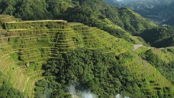 Foto: Sawah di Film Avengers: Infinity War