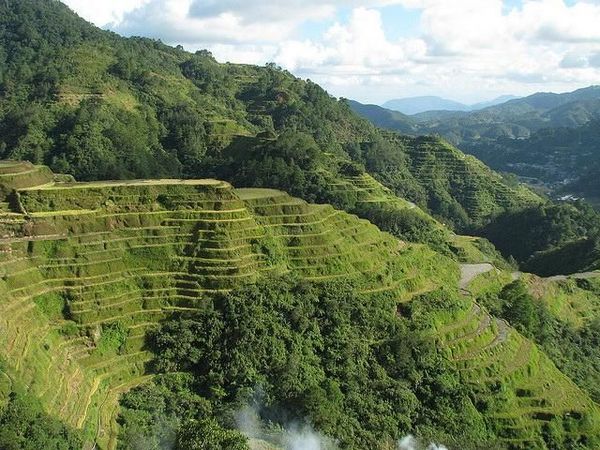 Foto: Sawah di Film Avengers: Infinity War