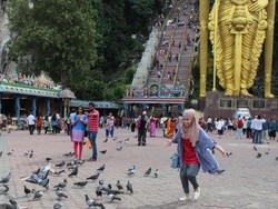 Kamu Bisa Bersama Burung di Gua Ini