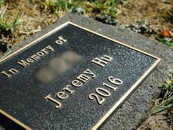 Pembunuh Pelajar China di Melbourne Dihukum 11 Tahun Penjara