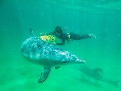 Asyiknya Liburan Tengah Tahun ke Perth di Australia Barat