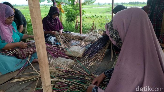 Ibu-ibu di Kelurahan Palam, Banjarbaru, membuat tas dari Purun rumput khas lahan gambut. Foto: Aryo Bhawono/detikcom