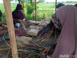 Mengais Rejeki Dengan Tas Rumput Gambut