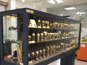 Geli dan Merinding Lihat Koleksi Museum Parasit di Tokyo!