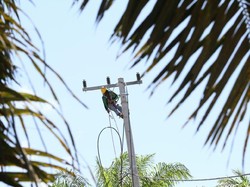 Tambah Daya Listrik di Bulan Ramadan, Dapat Diskon 50%