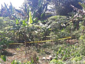 Mayat Bocah Dalam Karung Ditemukan di Kebun Singkong Bogor