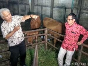 RPH Surabaya Pastikan Kebutuhan dan Stok Daging Hingga Lebaran
