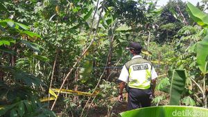 Foto: Geger Penemuan Mayat Bocah Dalam Karung di Bogor