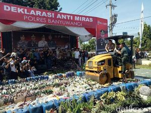 11,6 Ton Miras Hasil Razia di Banyuwangi Dimusnahkan