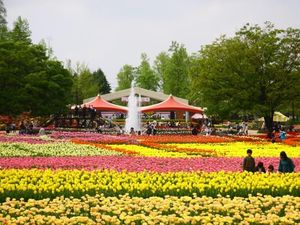 Festival Bunga Tulip di Jepang: Tonami Tulip Fair