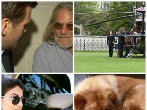 Riuh Dunia dalam Gambar: Hachiko di China, Dokter Trump Bikin Heboh Riuh Dunia dalam Gambar: Hachiko di China, Dokter Trump Bikin Heboh