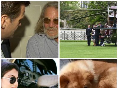 Riuh Dunia dalam Gambar: Hachiko di China, Dokter Trump Bikin Heboh
