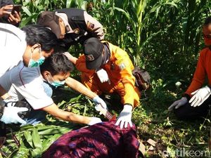 Mayat Perempuan Ditemukan di Bawah Tumpukan Pohon Jagung