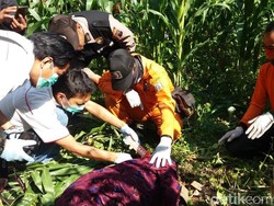 Mayat Perempuan Ditemukan di Bawah Tumpukan Pohon Jagung