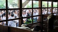 Saat Jokowi Kenalkan Kambing hingga Rusa ke Anak SMA di Bogor