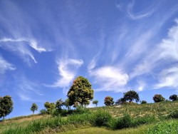 Langit di Kaki Gunung Kerinci
